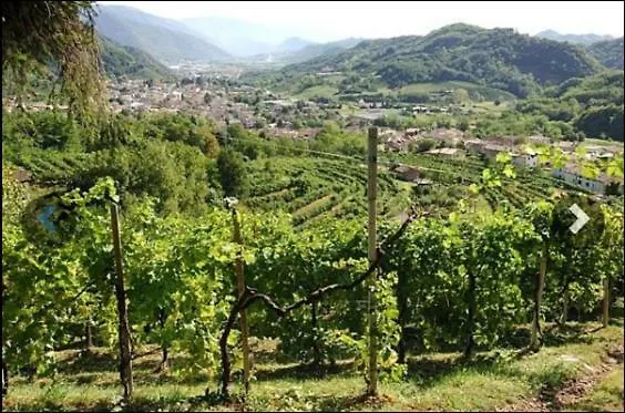 Suite Casa Fiorina Campea